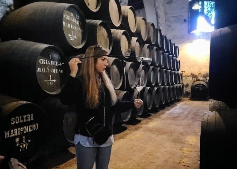 Visita la tonelería, bodegas y viñedos